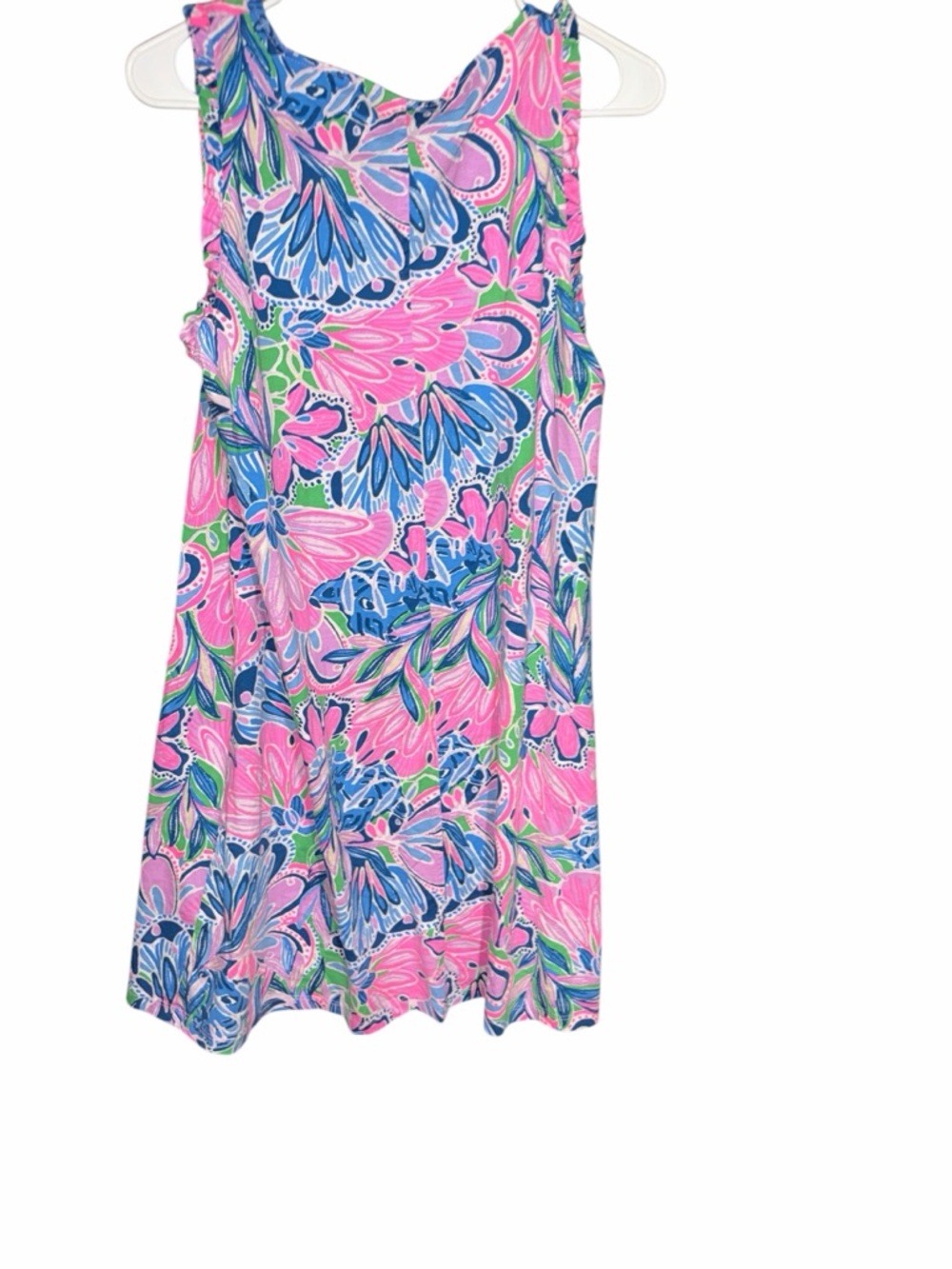 Lilly Pulitzer Pink & Blue Floral Skater Dress